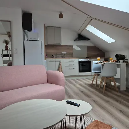 La Canopee De - 4min Gare * Vichy