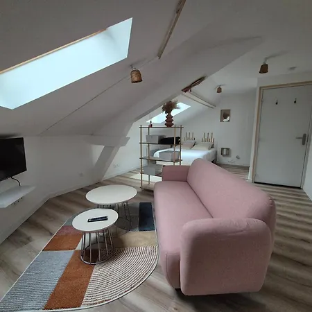 La Canopee De - 4min Gare Apartment Vichy