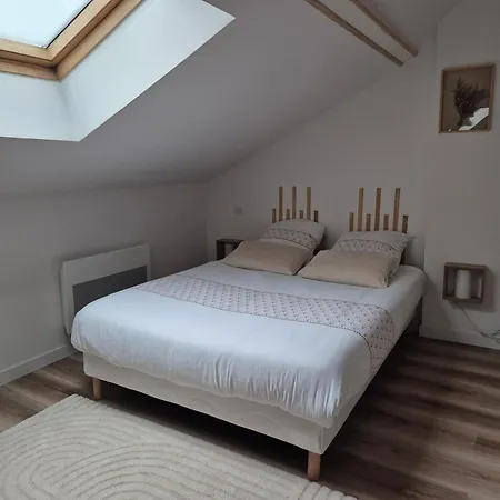 La Canopee De - 4min Gare Apartment Vichy