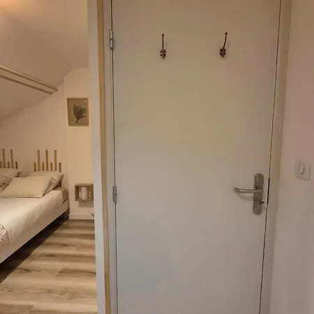 La Canopee De - 4min Gare Apartment Vichy