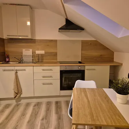 La Canopee De - 4min Gare * Vichy