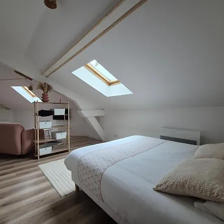 La Canopee De - 4min Gare *